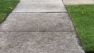 IMG 2846