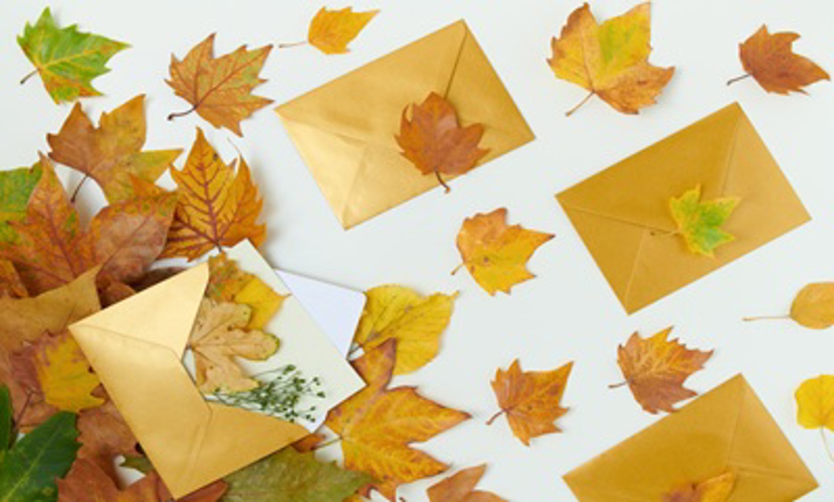 Fall Newsletter 2025