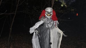 IMG_9691.JPG